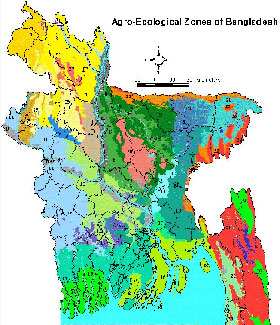 Agro Ecological Zone of Bangladesh