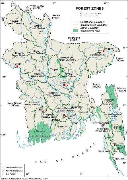 Forest Zones