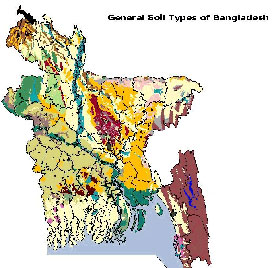 General Soil type of Bangladesh