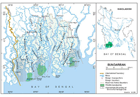 Sundarbans large image